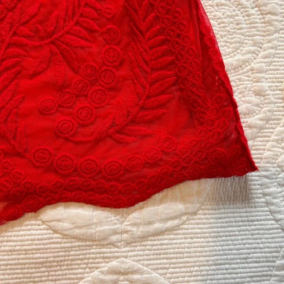 Express Red Lace Dress Size S/P - Picture 3 of 5